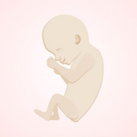 My Embryo