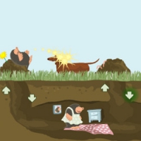 The Mole hole