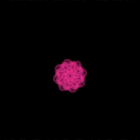 Letter symmetry